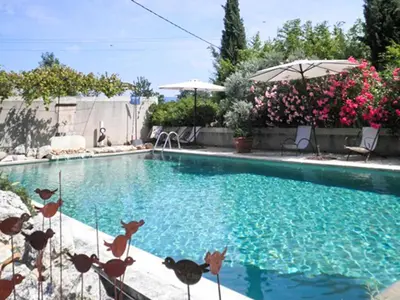 a swimming pool with ducks on the side of it at Maison charmante à Oppède avec vue sur la montagne in Oppède