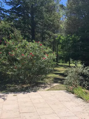 a path in a park with pink flowers and trees at Le Mas de Trévouse in Saint-Saturnin-lès-Avignon