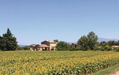 a field of sunflowers in front of a house at Cozy Home In Pernes Les Fontaines in Pernes-les-Fontaines