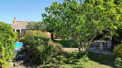 a garden with a tree and a swimming pool at Maison de charme avec piscine privée à Velleron in Velleron
