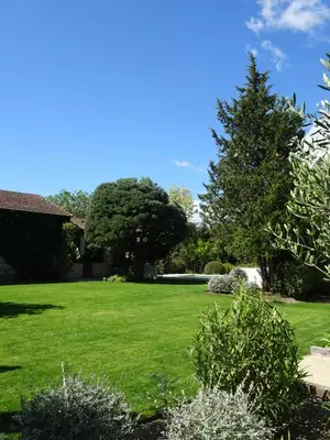 a yard with a green lawn and a tree at Domaine de la Girafe in Eyragues