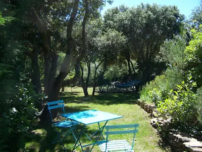 a table and chairs in a yard with trees at Les Florides in LʼIsle-sur-la-Sorgue