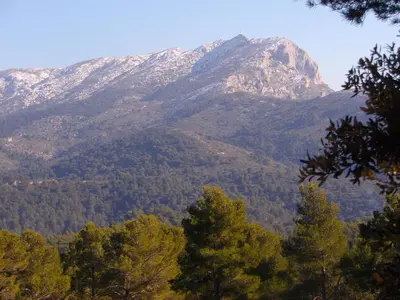 a snow covered mountain with trees in the foreground at Au Havre De Paix sainte victoire vauvenargues in Vauvenargues