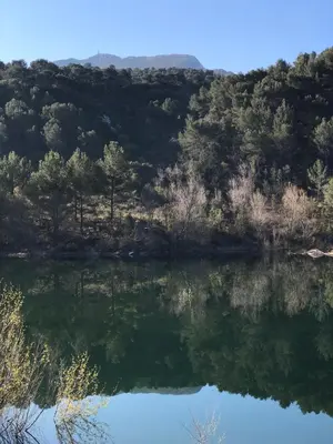 a view of a lake with trees in the background at Au Havre De Paix sainte victoire vauvenargues in Vauvenargues