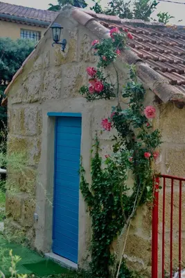 a blue door on the side of a stone building with roses at Les Volets Bleus Provence in Salon-de-Provence