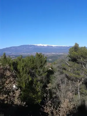 a view from the top of a hill with trees at Que Passion in Blauvac