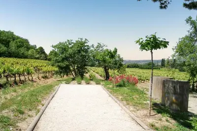 a path through a vineyard with trees and flowers at Villa spacieuse à Oppède avec piscine et vue imprenable in Oppède