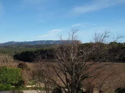 a tree in a field with mountains in the background at Domaine de L'Olibaou in Venelles