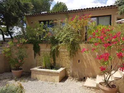 a garden with flowers in pots in front of a house at La Maison de Charlie in Vaugines