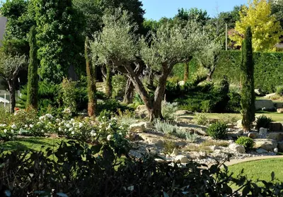 a garden with trees and flowers in a park at Aquabella Hôtel & Spa in Aix-en-Provence