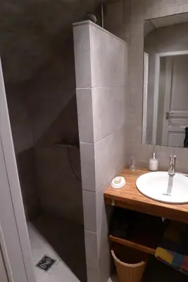 a bathroom with a shower and a sink at Le Cabanon in Le Thor