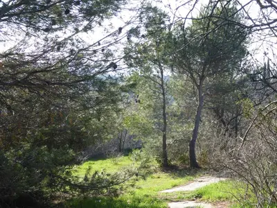 a dirt road through a forest with trees at The Panoramic House in Lagnes