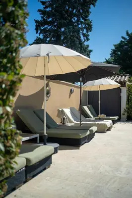 a person is cooking food in an outdoor oven at Villa Liberty in Entraigues-sur-la-Sorgue