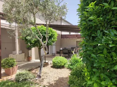 a garden with a small tree in a yard at Un Coin de Provence in LʼIsle-sur-la-Sorgue