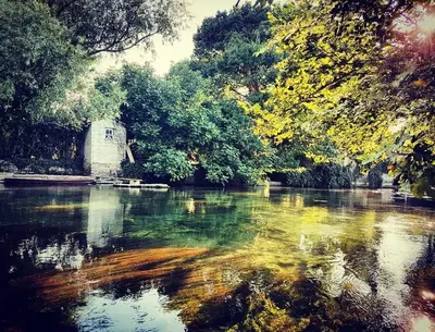 a view of a river with trees and a building at Mas et Gite de la Picholine in LʼIsle-sur-la-Sorgue