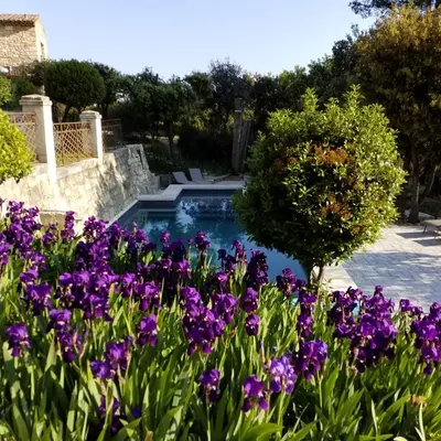 a garden with purple flowers and a swimming pool at Le Bastion des Papes in Châteauneuf-de-Gadagne