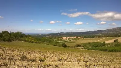 a view of a vineyard with mountains in the background at Gite Les Enfantines in Bédoin