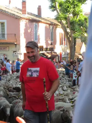 a man holding a stick in front of a herd of sheep at Gite Les Enfantines in Bédoin