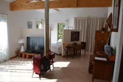 a living room with a fireplace and a tv at Chez MiLy in Sénas