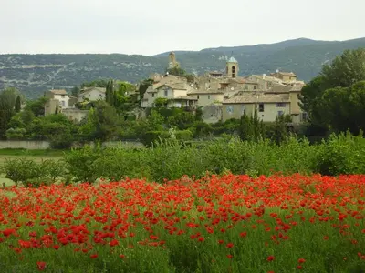 a field of red flowers in front of a village at La Cordière in Lourmarin