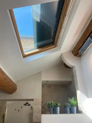 a skylight in a bathroom with potted plants at L'atelier B&B in Bédoin