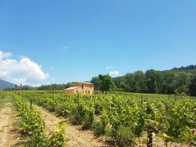 a field of crops with a barn in the background at le bastidon in Villars
