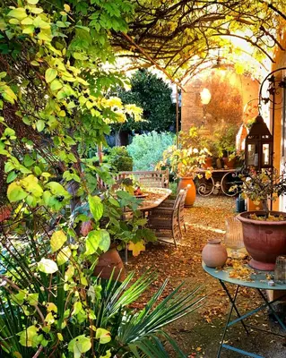 a garden with a patio with a bunch of plants at Le Pavillon de Galon in Cucuron
