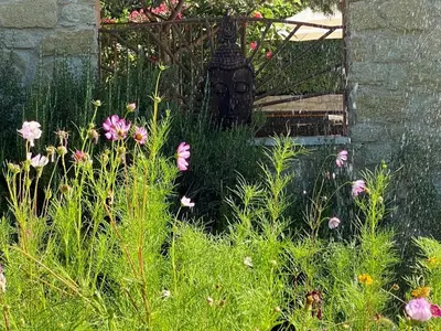 a garden with a bunch of flowers in the grass at Mas des Olives in Bédoin