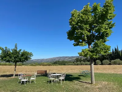 a table and chairs and a tree in a field at Mas des Olives in Bédoin