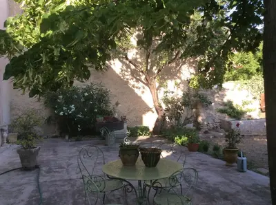 a table and chairs under a tree with potted plants at Maison Daumas Billard Français et Piscine in Robion en Luberon