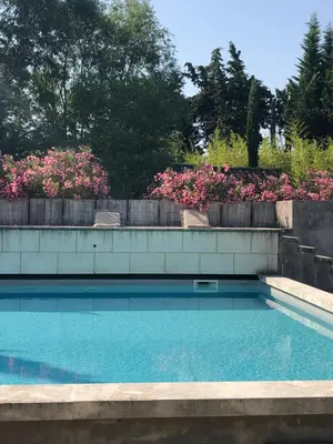a swimming pool in a yard with pink flowers at Les cabanes de Vallis Clausa in Saumane-de-Vaucluse