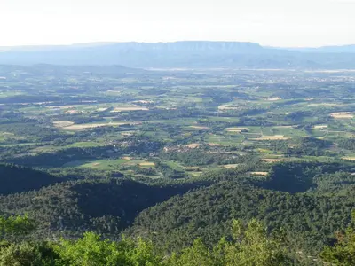 an aerial view of a valley with trees at La mordorée in La Motte-dʼAigues