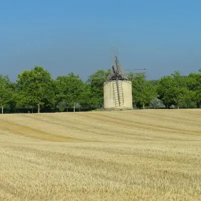 La mordorée