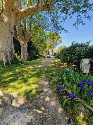 a dirt road with flowers and trees on the side at Ancien Mas Du Moulin in Eygalières