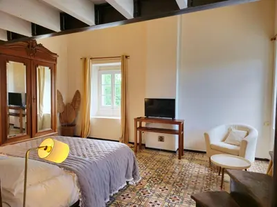 a bedroom with a bed and a chair and a television at Ancien Mas Du Moulin in Eygalières