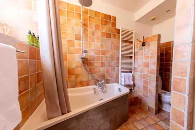 a bathroom with a bath tub and a toilet at La Prévôté - Luxury Chambres d'hôtes & Gastronomic Restaurant in LʼIsle-sur-la-Sorgue