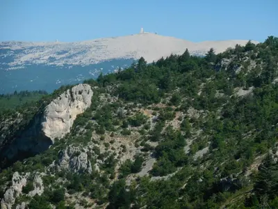 an aerial view of a mountain with trees at Cabanons Jour & Nuit in Mazan