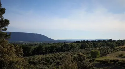 an aerial view of a forest with mountains in the background at Les Terrasses - Gordes in Gordes