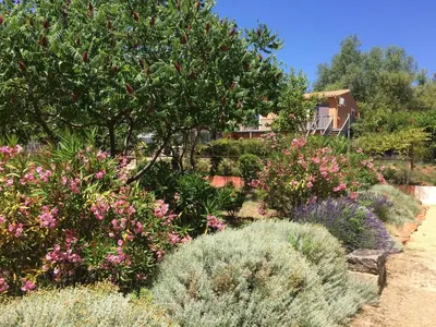 a garden with pink flowers and trees and a house at Hotel Les Ambres in Roussillon