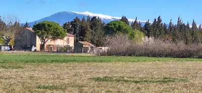 a house in a field with a mountain in the background at Gîte Mas de la Restanque in Monteux