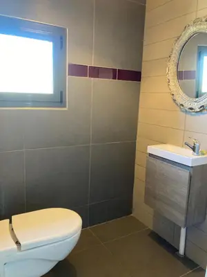 a bathroom with a toilet and a sink and a mirror at Belle villa en Provence in Lançon-Provence