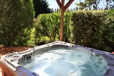 a hot tub in a backyard with trees and bushes at Gite des Carmes and Spa in Le Thor
