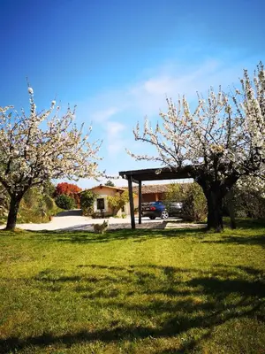 a picnic shelter in a park with flowering trees at The Neame House in Bédoin