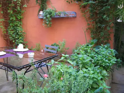 a table and chairs in a garden with plants at Belle de Nuit in Oppède