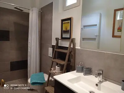 a bathroom with a sink and a toilet and a mirror at La Maison de Maïté in Cheval-Blanc