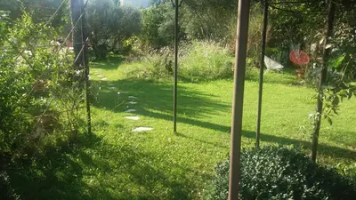 a garden view from a window of a yard at La Maison de Maïté in Cheval-Blanc