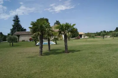 two palm trees in a field in front of a house at Gîtes dans Mas en pierres in Robion en Luberon