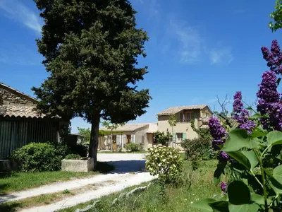 a house with a tree in the middle of a road at Les Biguières in Maubec