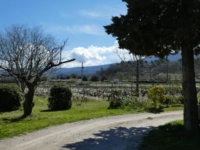 a dirt road next to a field with trees at Les Biguières in Maubec