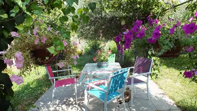 a living room with a couch and a fireplace at La Maison sous l'olivier in Morières-lès-Avignon